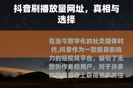 抖音刷播放量网址，真相与选择