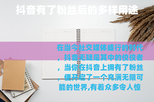 抖音有了粉丝后的多样用途