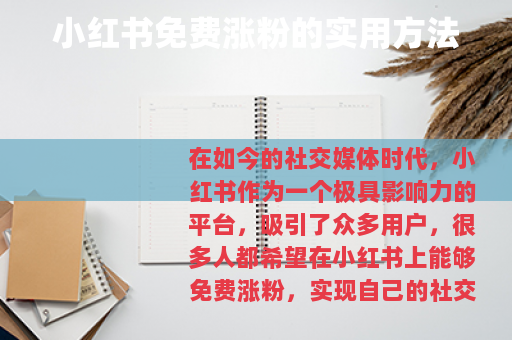 小红书免费涨粉的实用方法