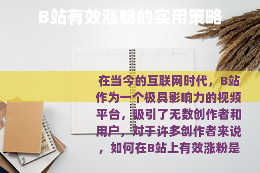 B站有效涨粉的实用策略