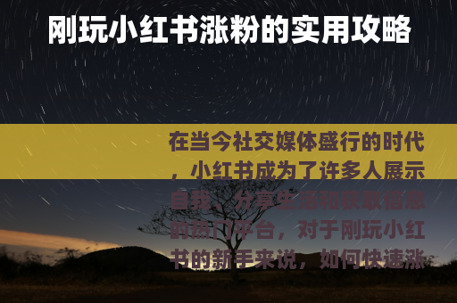 刚玩小红书涨粉的实用攻略