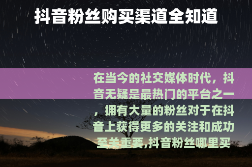 抖音粉丝购买渠道全知道