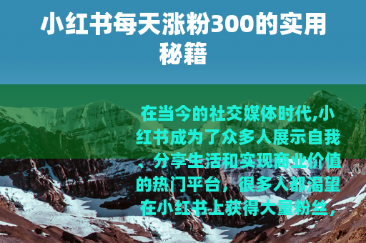 小红书每天涨粉300的实用秘籍
