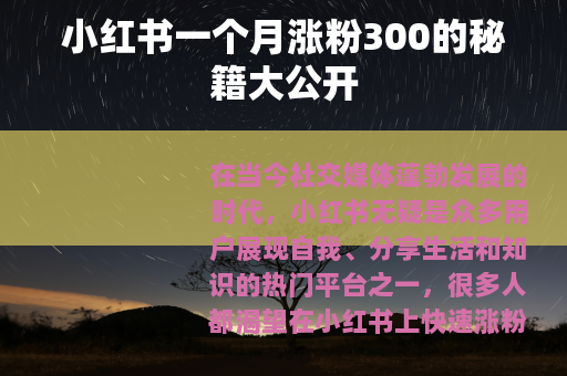 小红书一个月涨粉300的秘籍大公开