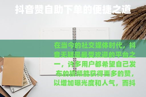 抖音赞自助下单的便捷之道