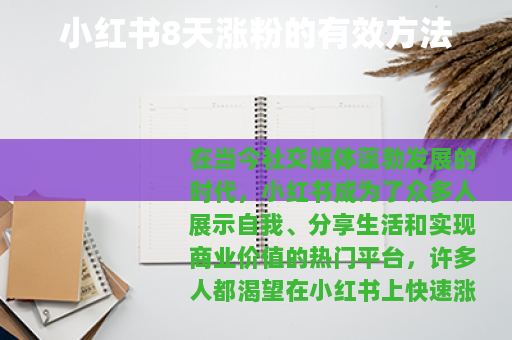 小红书8天涨粉的有效方法