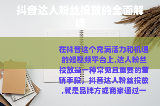 抖音达人粉丝投放的全面解读