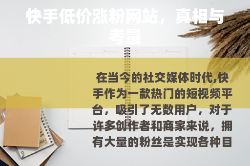 快手低价涨粉网站，真相与考量