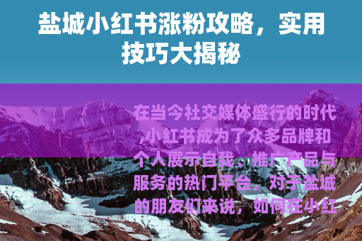 盐城小红书涨粉攻略，实用技巧大揭秘