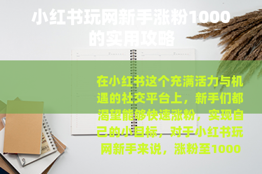 小红书玩网新手涨粉1000的实用攻略