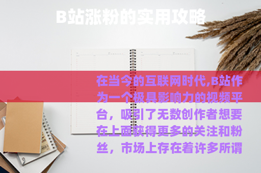 B站涨粉的实用攻略