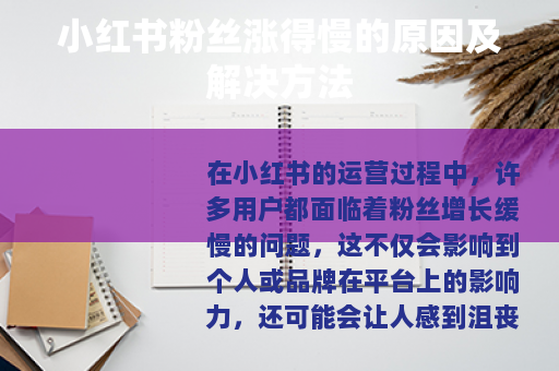 小红书粉丝涨得慢的原因及解决方法