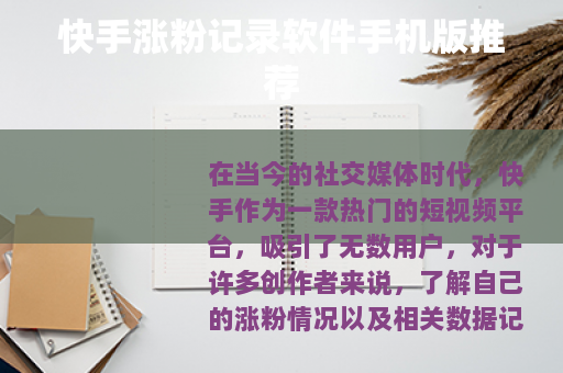 快手涨粉记录软件手机版推荐