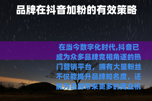 品牌在抖音加粉的有效策略