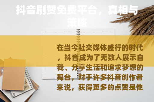 抖音刷赞免费平台，真相与策略