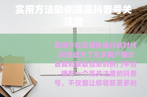 实用方法助你提高抖音号关注度