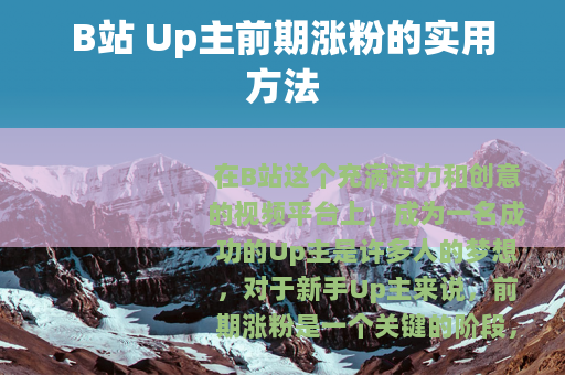 B站 Up主前期涨粉的实用方法