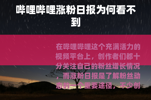 哔哩哔哩涨粉日报为何看不到