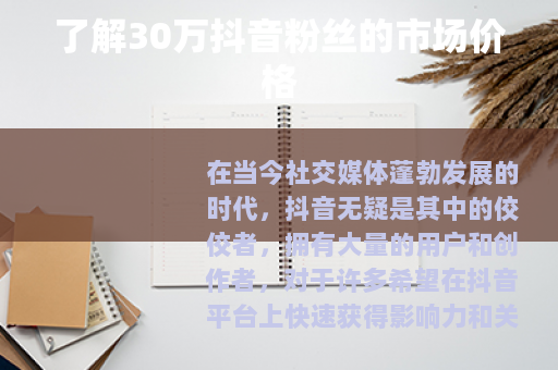 了解30万抖音粉丝的市场价格