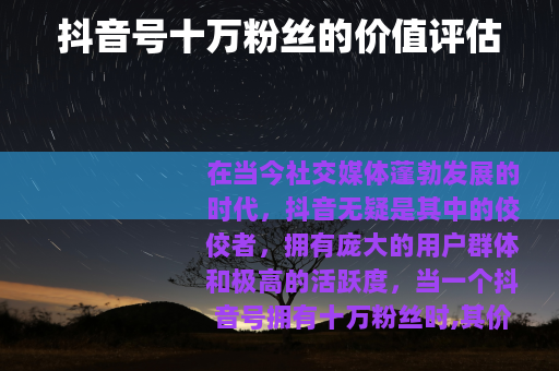 抖音号十万粉丝的价值评估