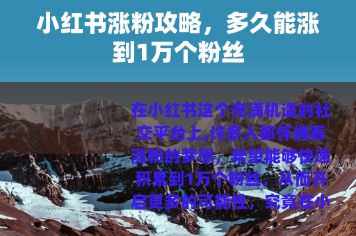 小红书涨粉攻略，多久能涨到1万个粉丝