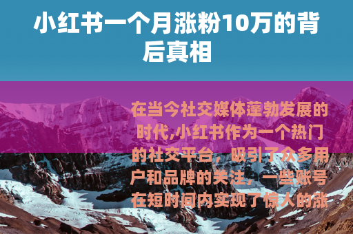 小红书一个月涨粉10万的背后真相