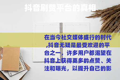 抖音刷赞平台的真相