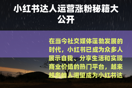 小红书达人运营涨粉秘籍大公开