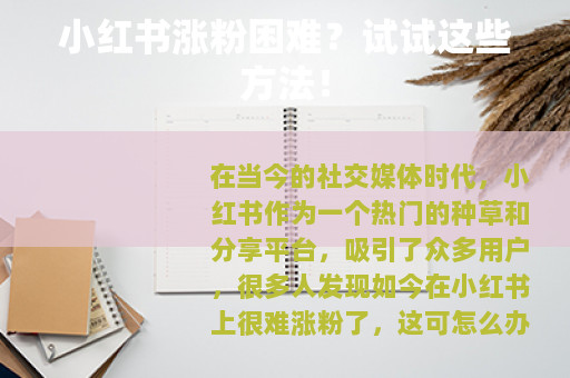 小红书涨粉困难？试试这些方法！