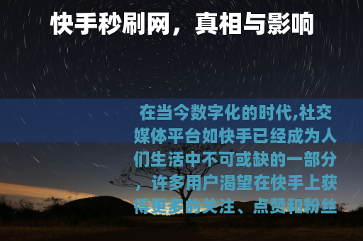 快手秒刷网，真相与影响