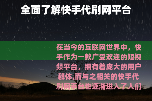 全面了解快手代刷网平台