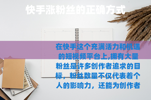 快手涨粉丝的正确方式