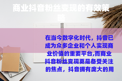 商业抖音粉丝变现的有效策略