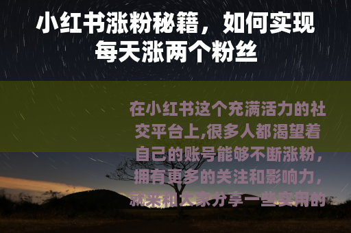 小红书涨粉秘籍，如何实现每天涨两个粉丝