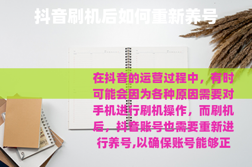 抖音刷机后如何重新养号