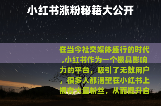 小红书涨粉秘籍大公开