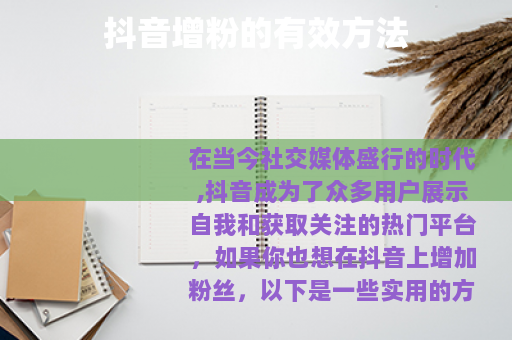 抖音增粉的有效方法