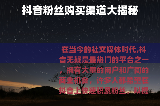 抖音粉丝购买渠道大揭秘