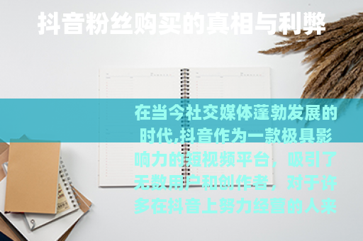 抖音粉丝购买的真相与利弊