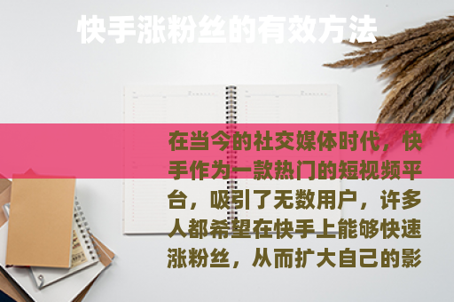 快手涨粉丝的有效方法