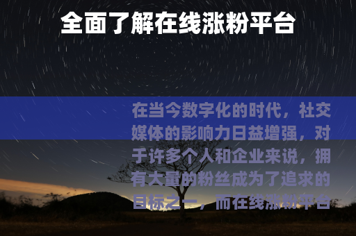 全面了解在线涨粉平台