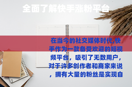 全面了解快手涨粉平台