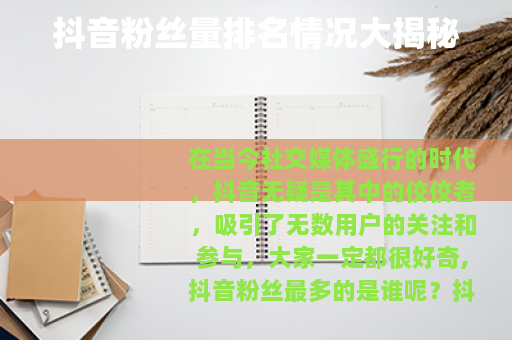 抖音粉丝量排名情况大揭秘 抖音粉丝量排名情况大揭秘