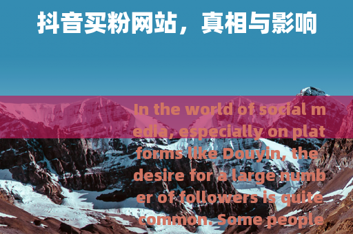 抖音买粉网站，真相与影响