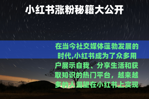 小红书涨粉秘籍大公开