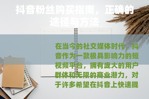 抖音粉丝购买指南，正确的途径与方法