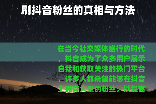 刷抖音粉丝的真相与方法