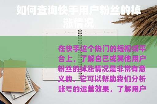 如何查询快手用户粉丝的掉涨情况