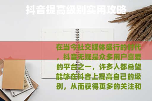 抖音提高级别实用攻略