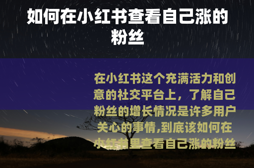 如何在小红书查看自己涨的粉丝